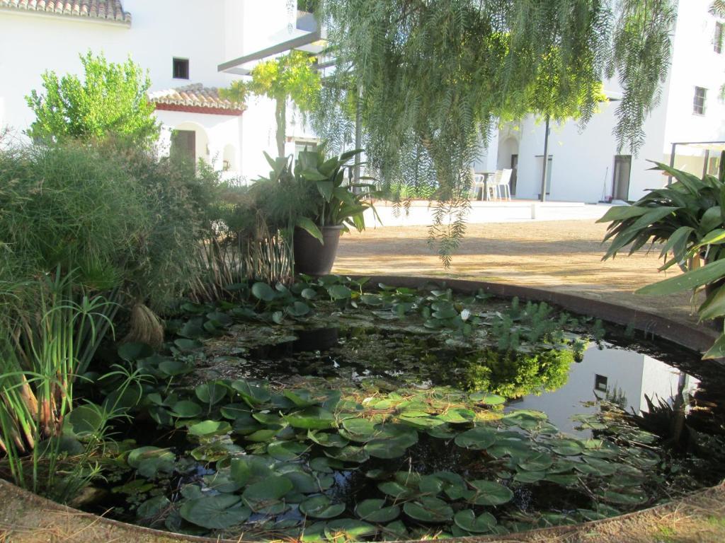 Finca La Marquesa Granada Ngoại thất bức ảnh
